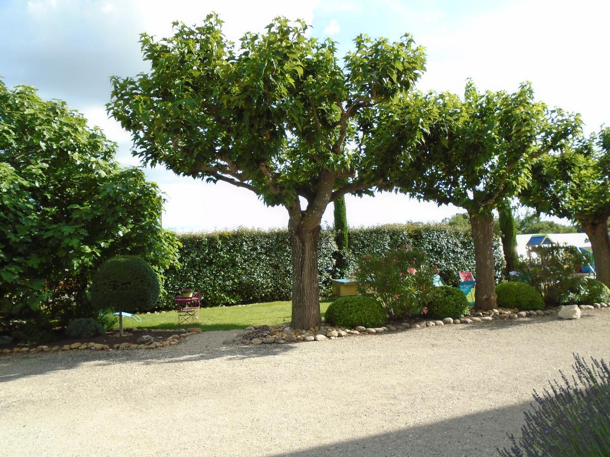 Villa Gite Les Feuilles De Chene Carpentras Exterior foto